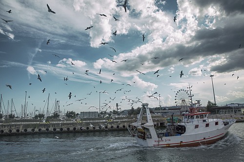 Pescara
La ricchezza del mare
Fishermen / fishing boats / fishing equipment
Maria Guerra